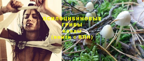марки nbome Богородицк