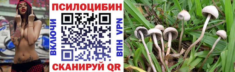 Купить  Себеж  Галлюциногенные грибы MAGIC MUSHROOMS 
